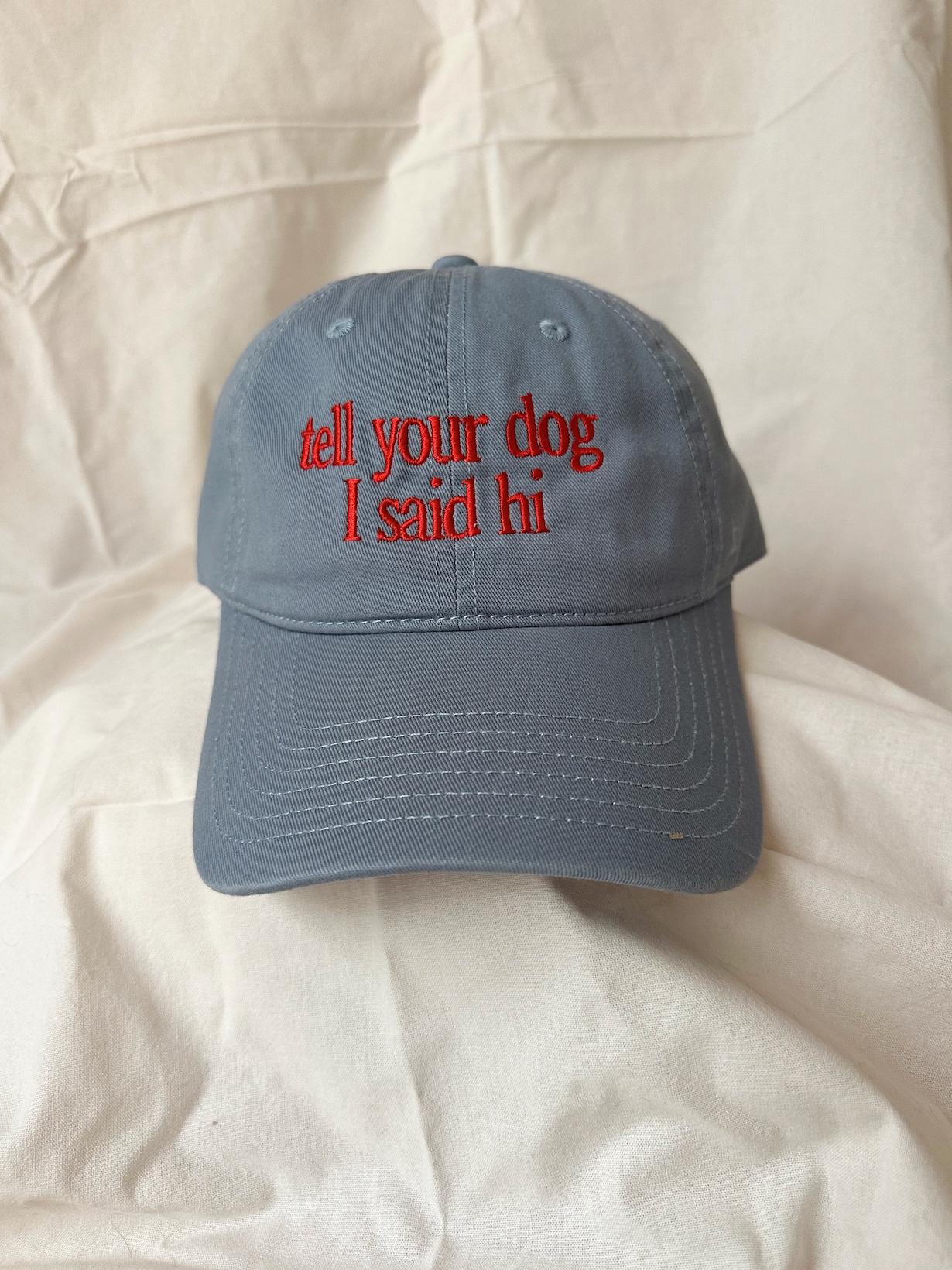Tell Your Dog I Said Hi Cap — Blue & Red Embroidery (Limited Edition)