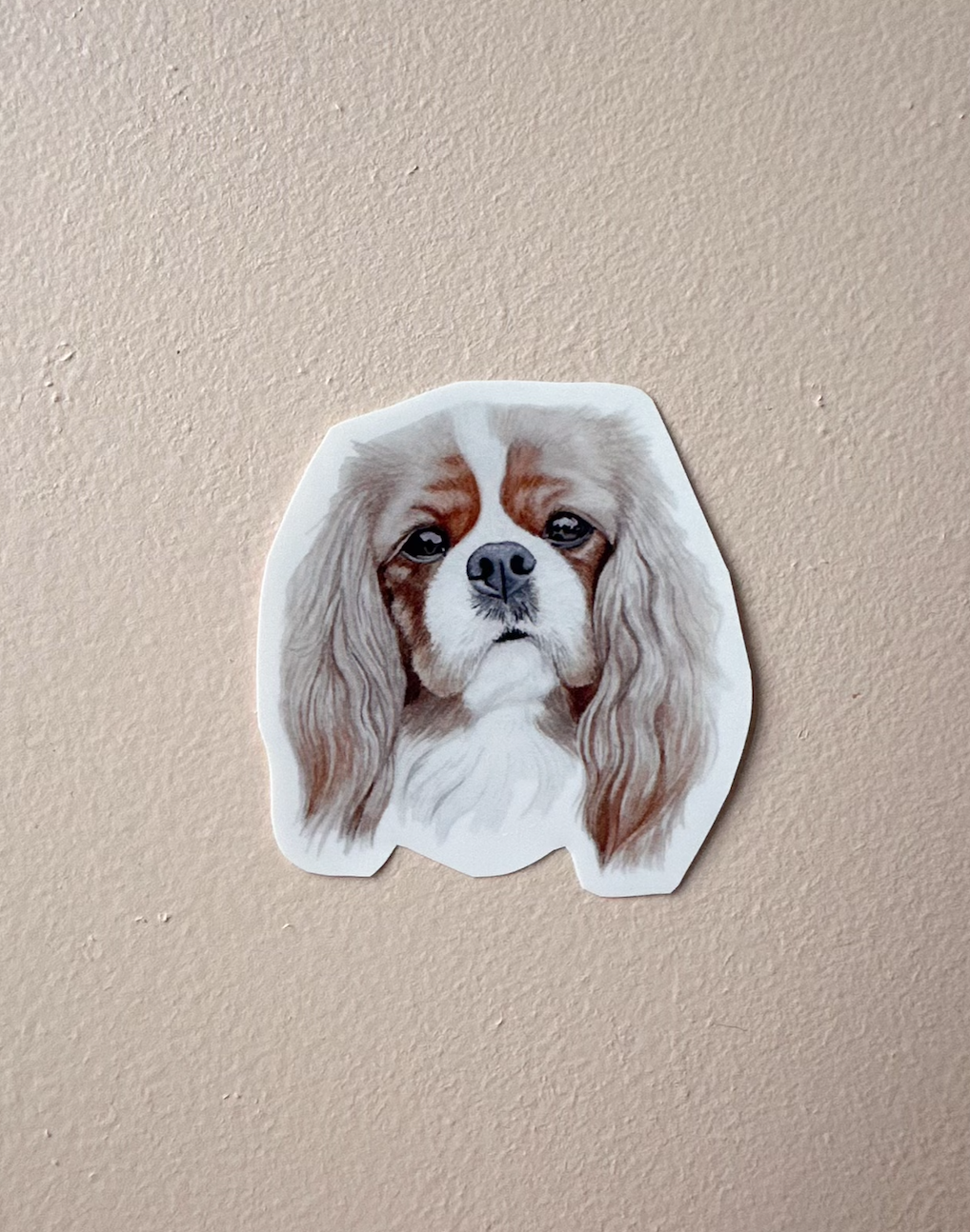 Cheddar the Cavalier Sticker