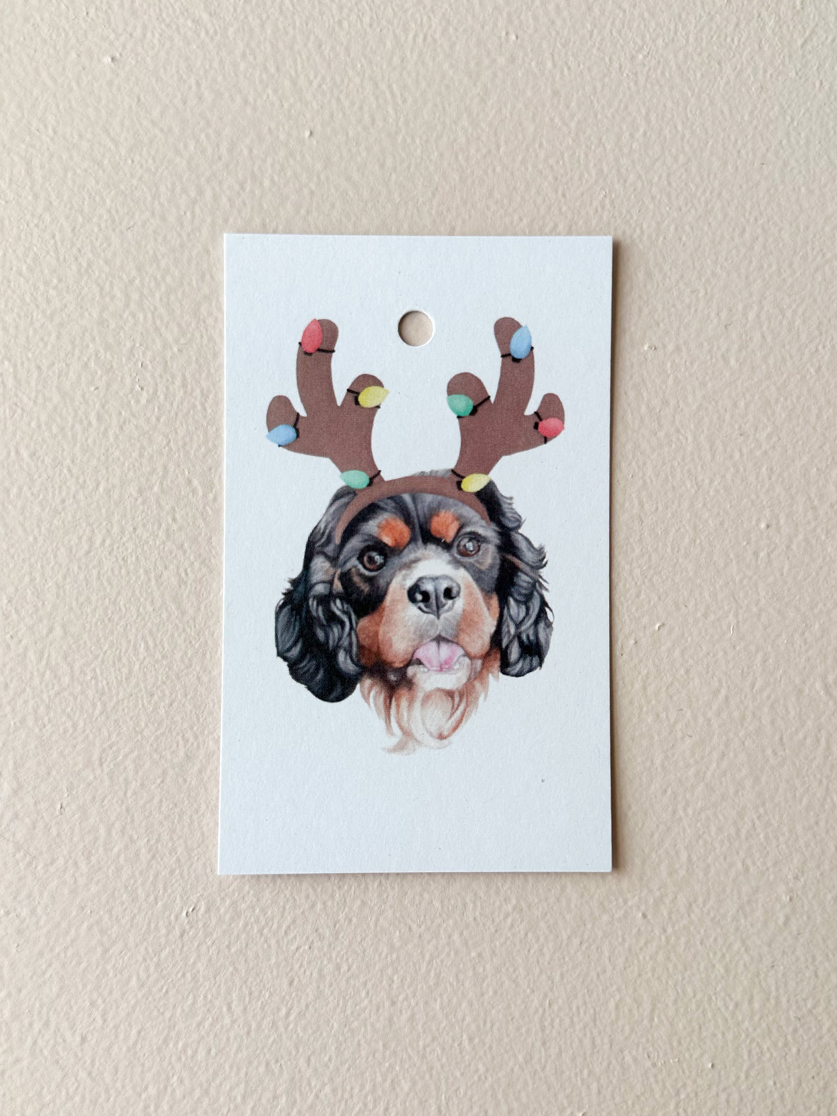 Rocky the Cavalier Present Tag