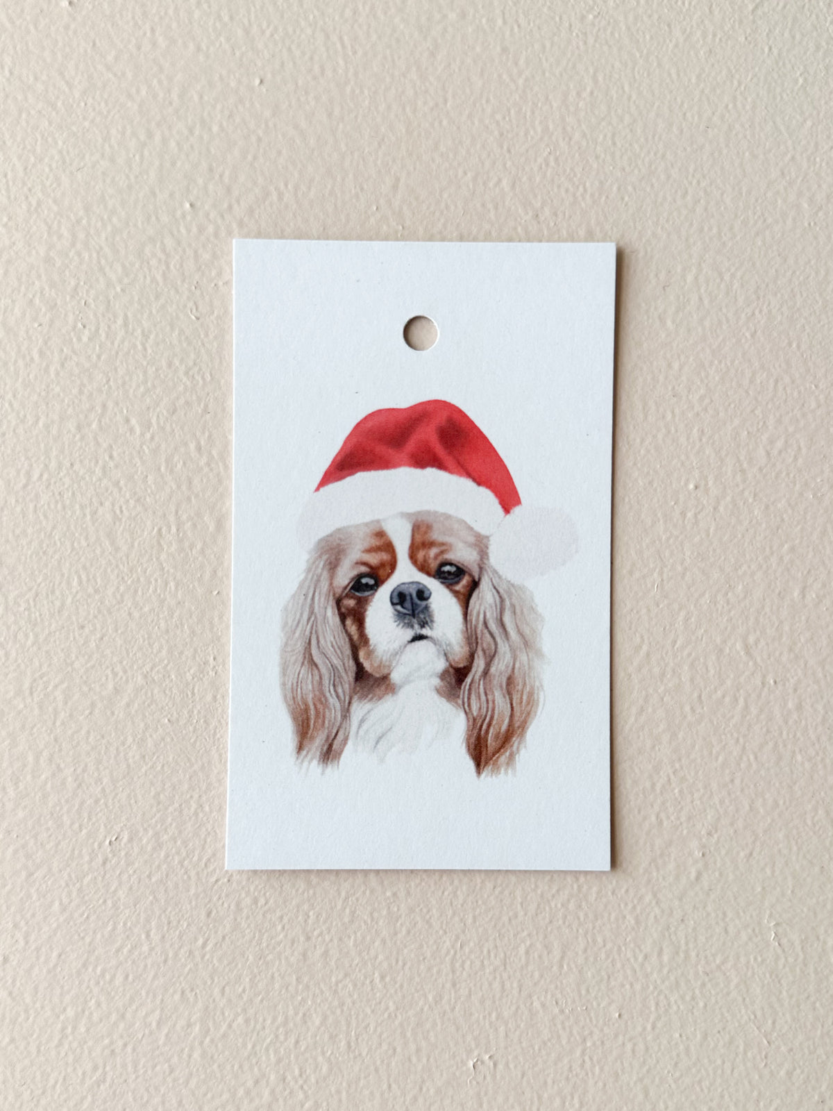Cheddar the Cavalier Gift Tag