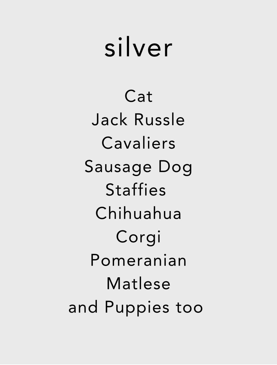 Limited Edition Luxe Silver Inkless Paw Print Kit