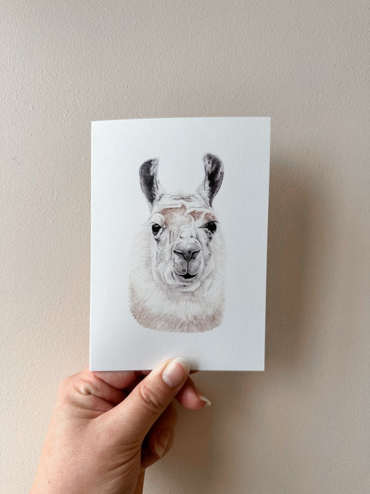 Sasha the Llama Card