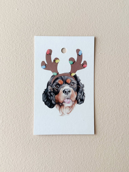 Rocky the Cavalier Present Tag