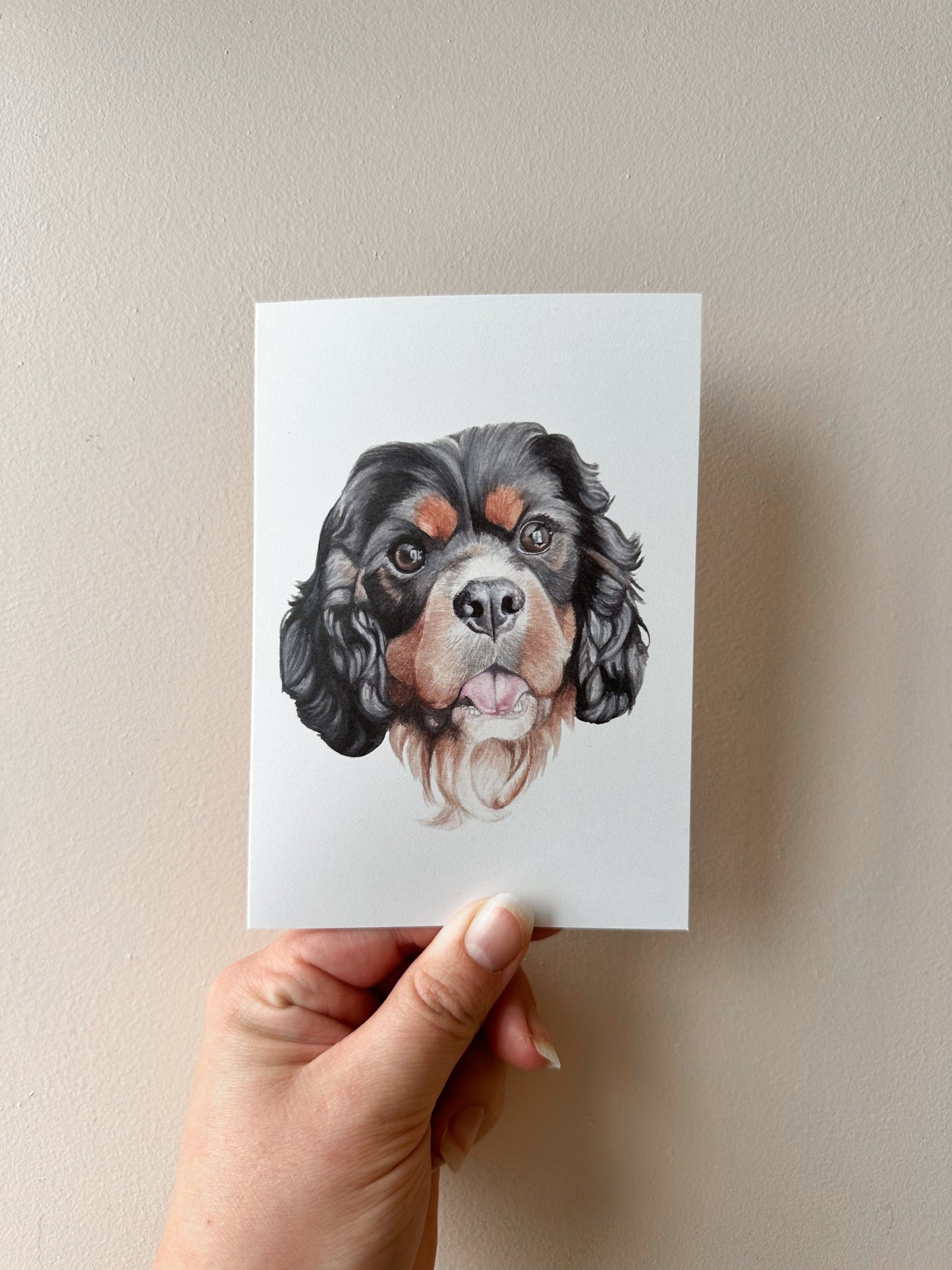 Rocky the Cavalier Card
