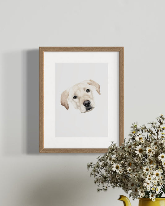 Ginny the Golden Labrador Print