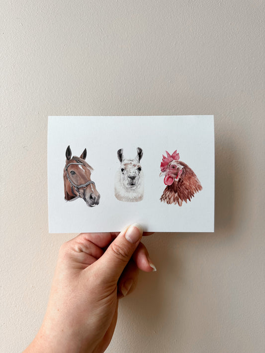 Farm Yard Friends Cards