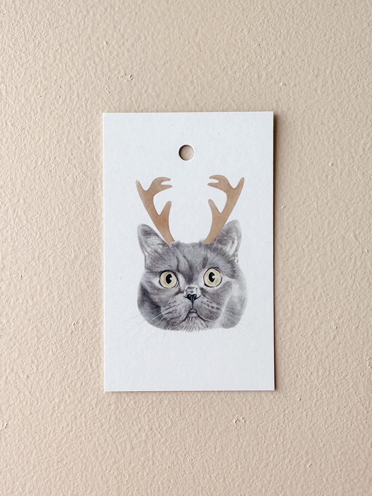 Elliot the British Short Hair Present Tag