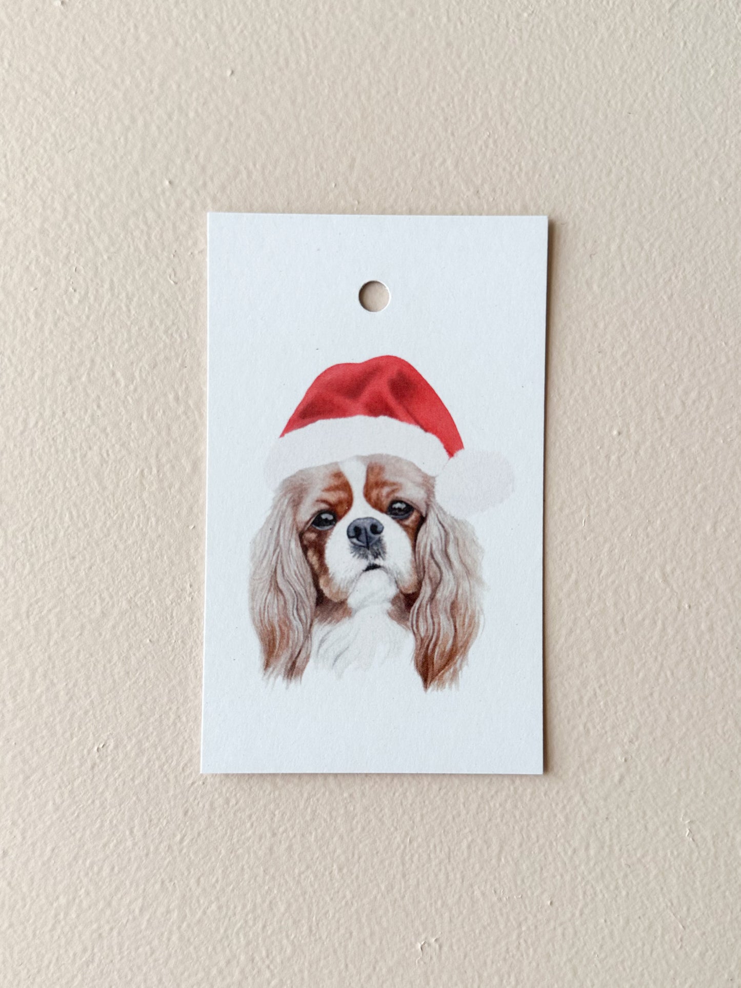 Cheddar the Cavalier Gift Tag