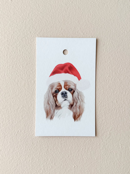Cheddar the Cavalier Gift Tag