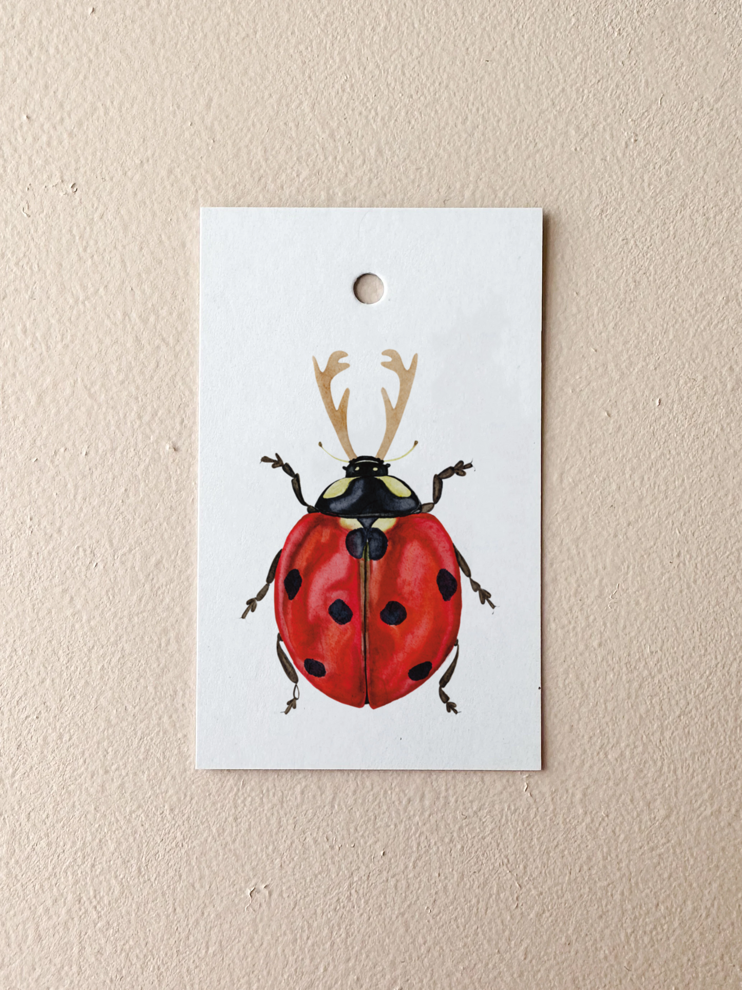 Vera the Lady Bug Present Tag