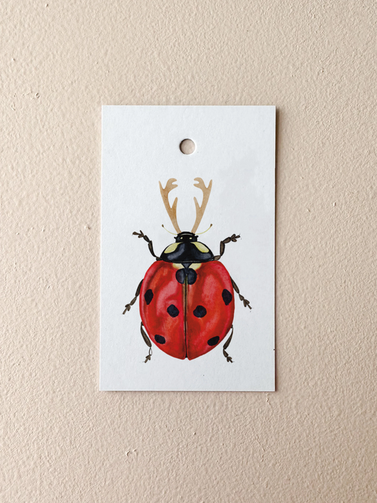 Vera the Lady Bug Present Tag