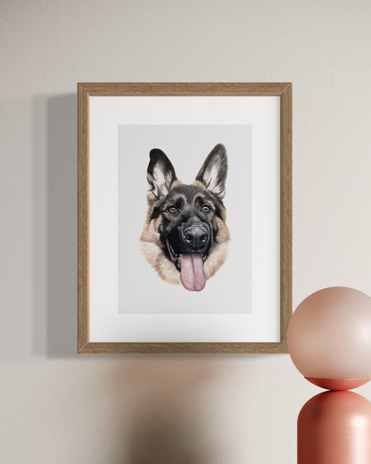 Koda the German Shepherd Print