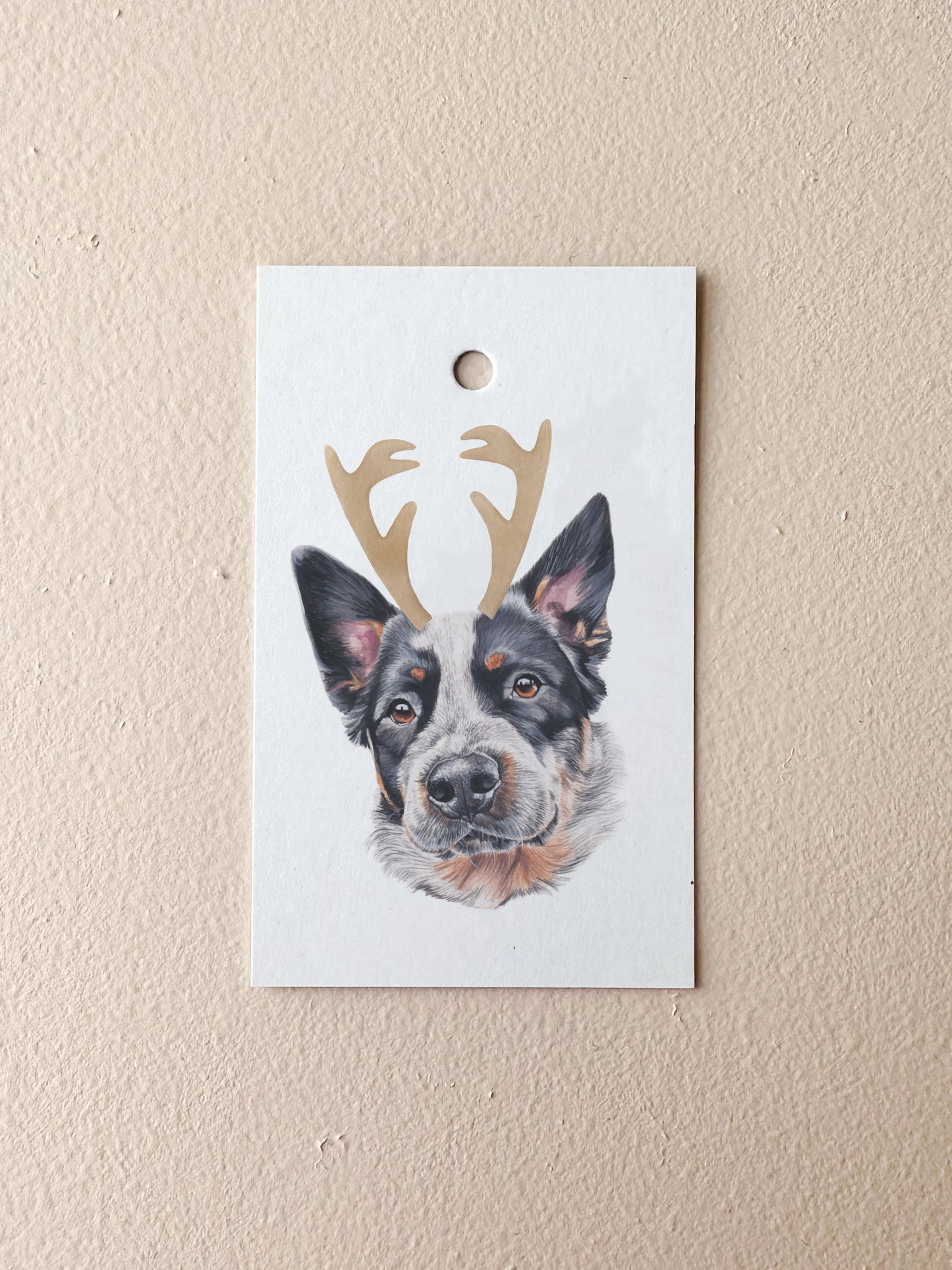 Neo the Blue Healer Swing Tag
