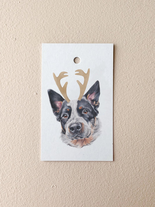 Neo the Blue Healer Swing Tag