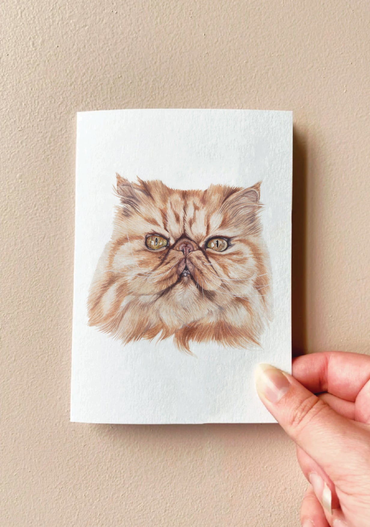 Crookshanks the Persian Cat Card