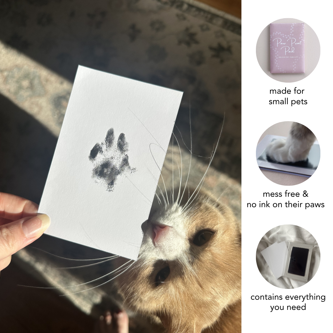 Regular No Mess Inkless Pet Paw Print Kit