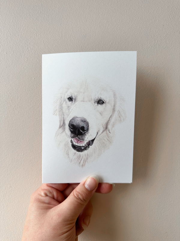 Murphy the Golden Retriever