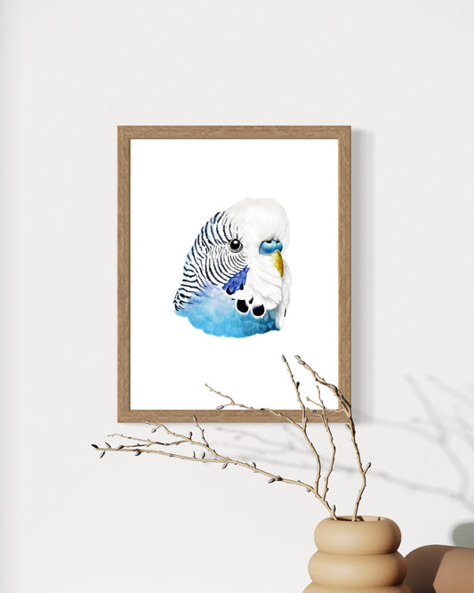 Pete the Blue Budgie Print