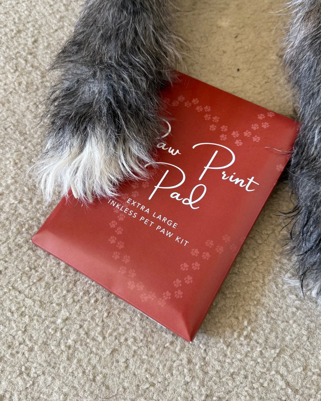 Extra Large No Mess Inkless Paw Print Kit