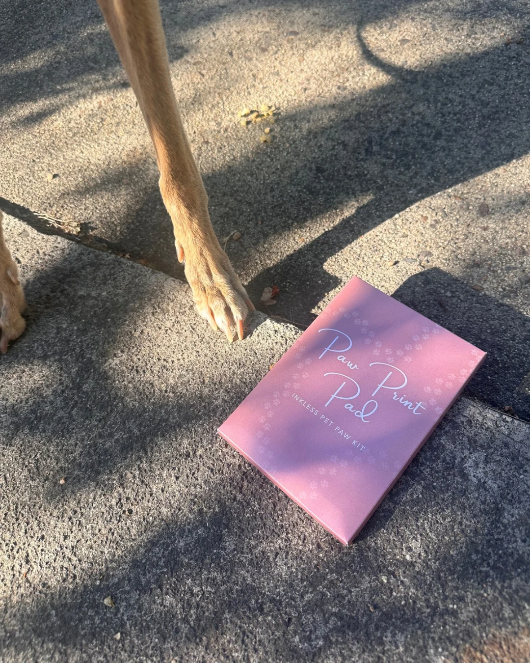 Large Inkless No Mess Paw Print Kit