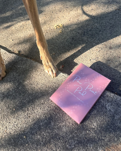 Large Inkless No Mess Paw Print Kit