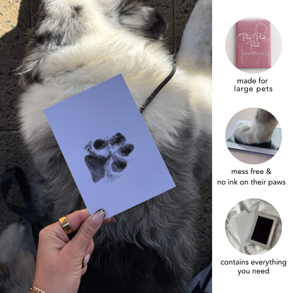 Large Inkless No Mess Paw Print Kit