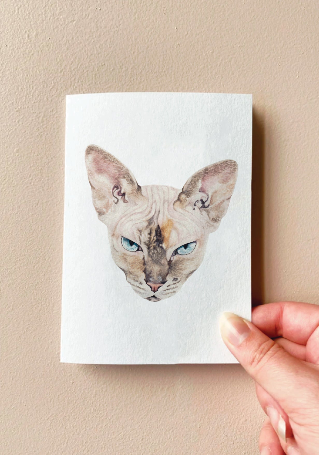 Nyx the Sphynx Cat Card