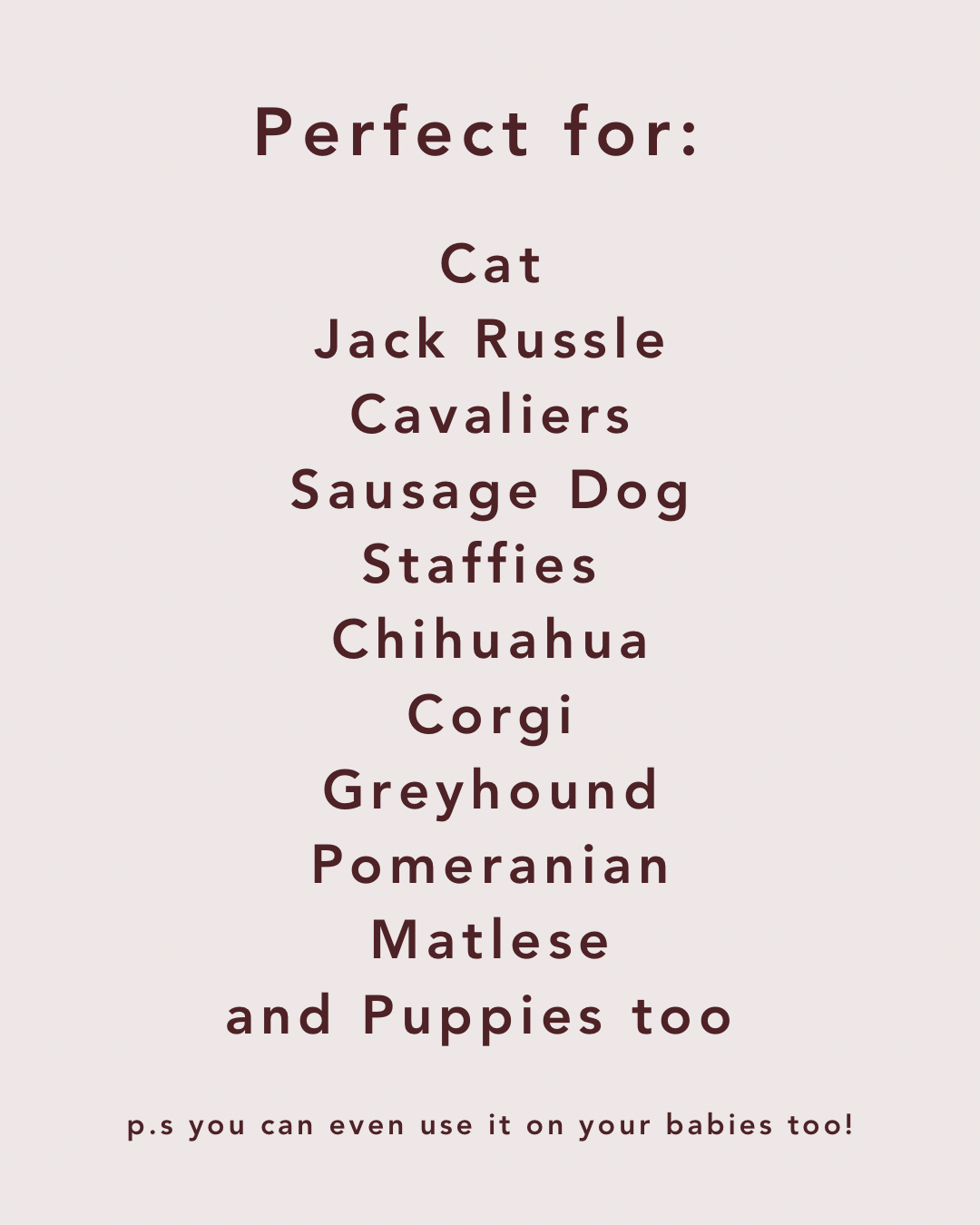 Regular No Mess Inkless Pet Paw Print Kit