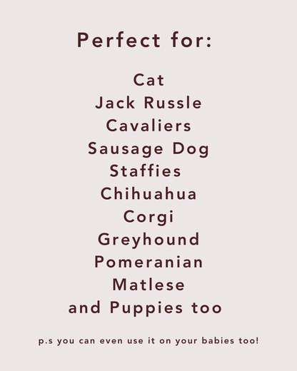 Regular No Mess Inkless Pet Paw Print Kit