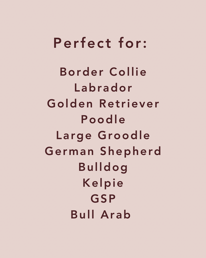 Large Inkless No Mess Paw Print Kit