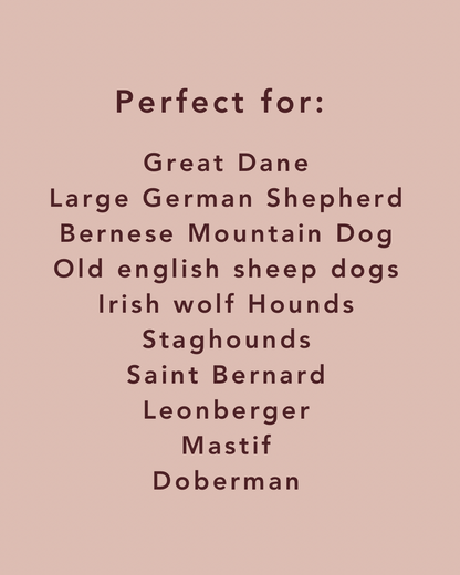 Extra Large No Mess Inkless Paw Print Kit