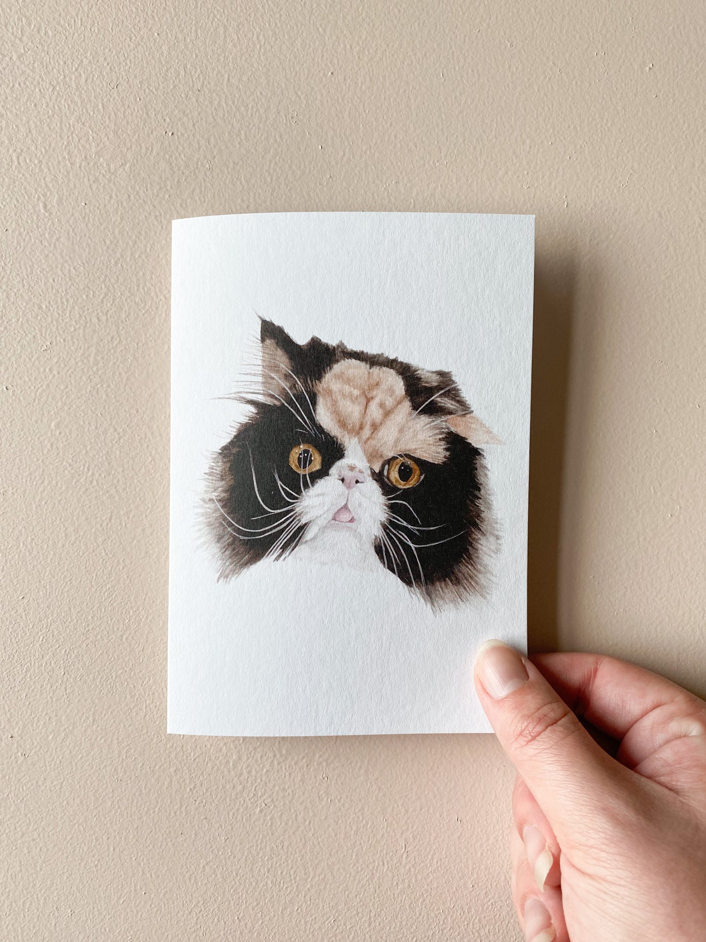 Anastasia the Calico Card