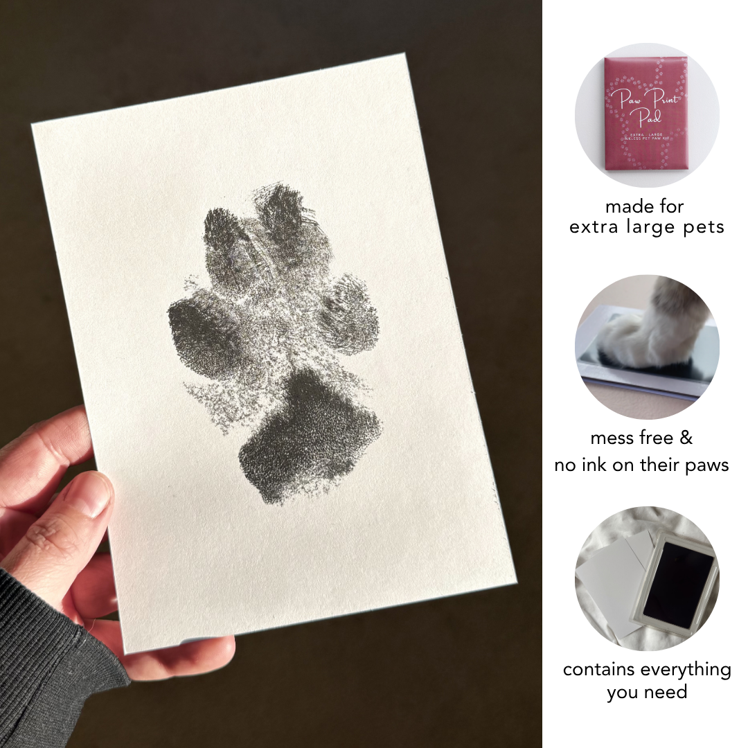 Extra Large No Mess Inkless Paw Print Kit