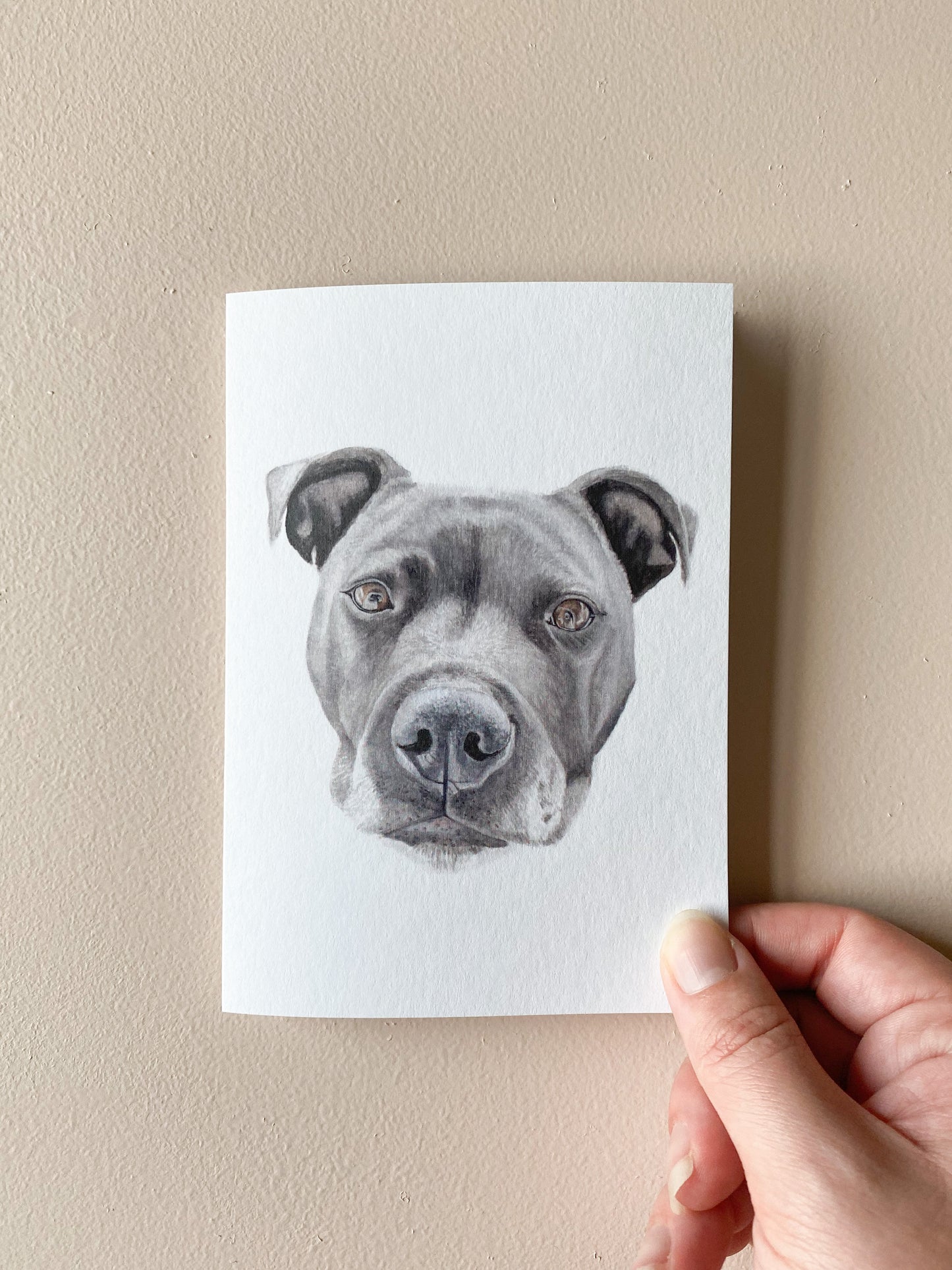Hunter the Staffy Card