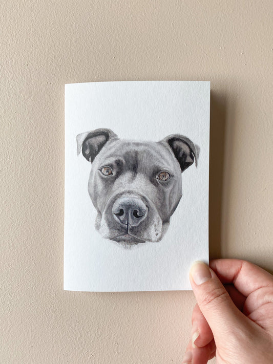 Hunter the Staffy Card