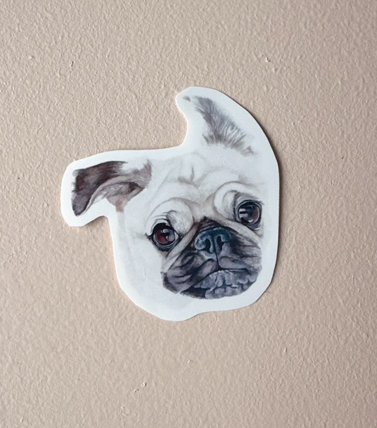Morgan the Pug Sticker