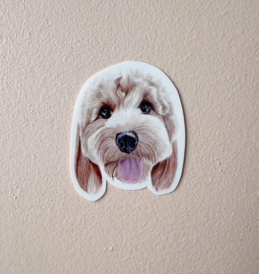 Riley the Cavoodle Sticker