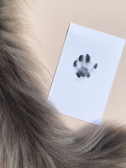 Regular No Mess Inkless Pet Paw Print Kit