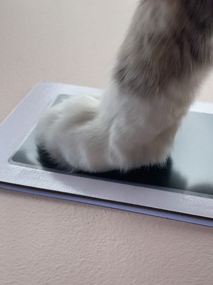 Regular No Mess Inkless Pet Paw Print Kit