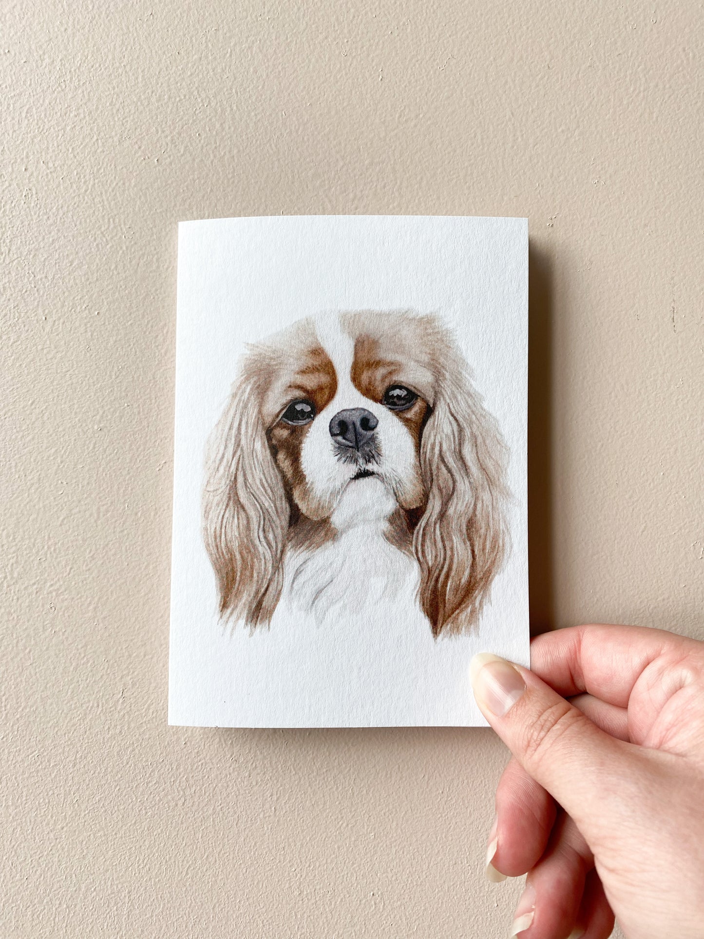 Cheddar the King Charles Cavalier Card