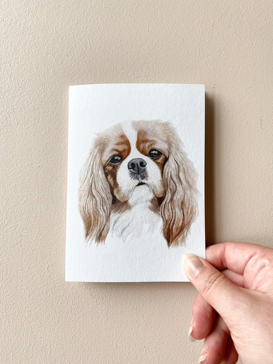 Cheddar the King Charles Cavalier Card