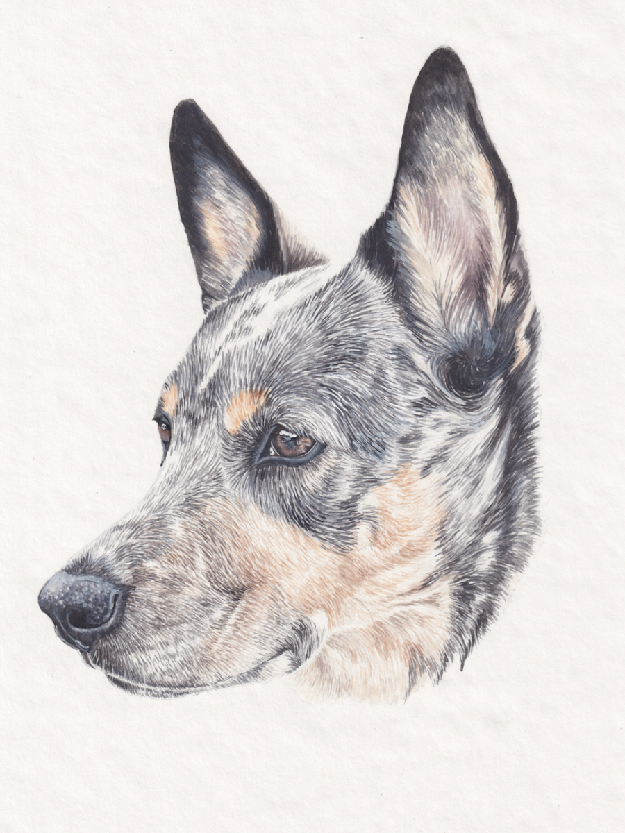 the portrait
