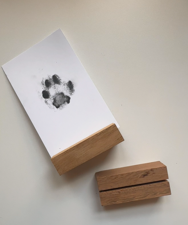 Pet Paw Print Stand