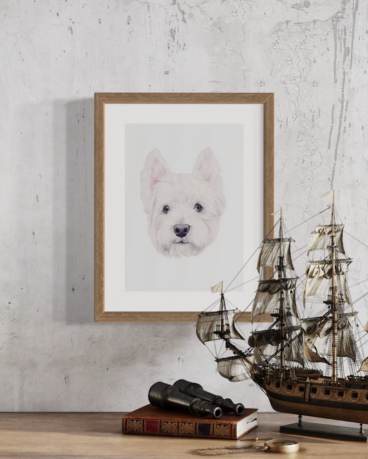 Angus the Westie Print