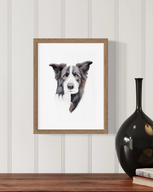 Archie the Black Border Collie Print