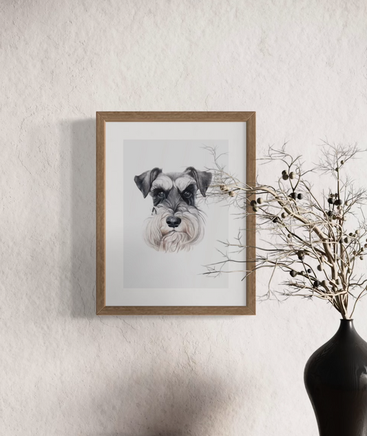 Pip the Schnauzer Print