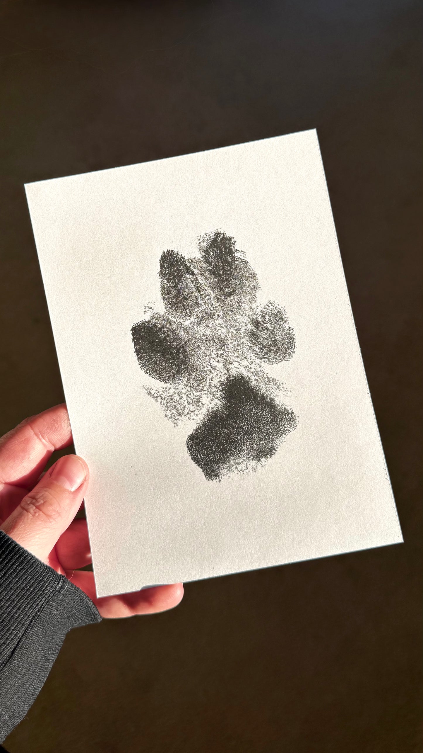 Extra Large No Mess Inkless Paw Print Kit