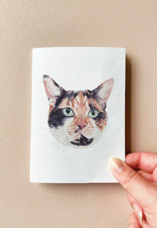 Sushi the Tortishell