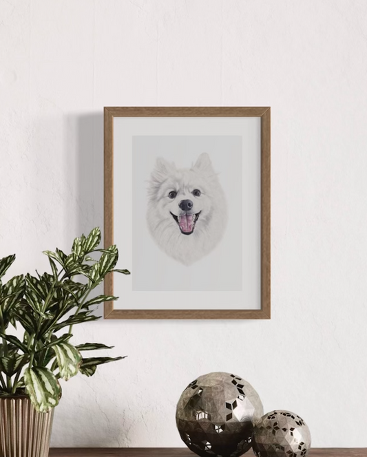 Yuki the Japense Spitz Print