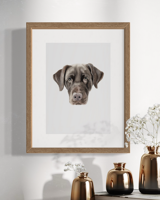 Zuko the Chocolate Labrador Print